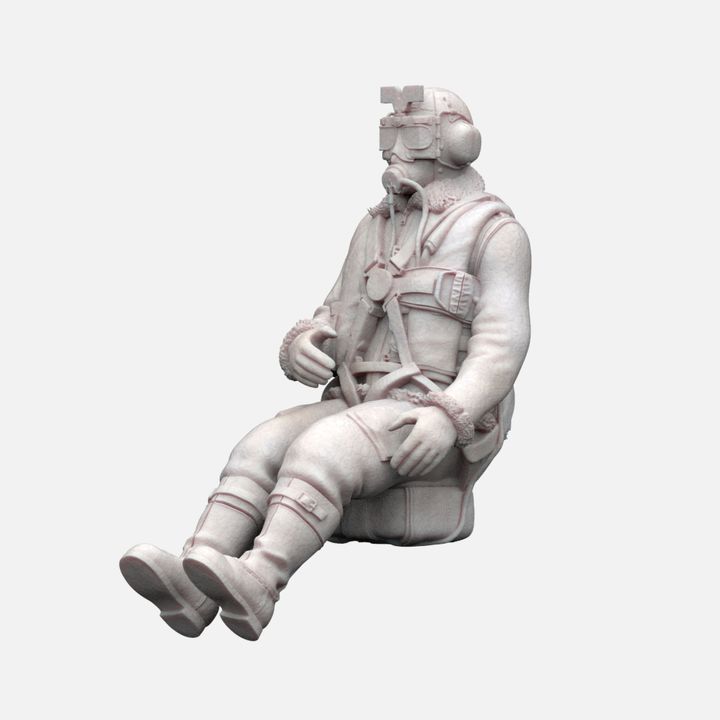 WW2 - PILOTO DE LA RAF