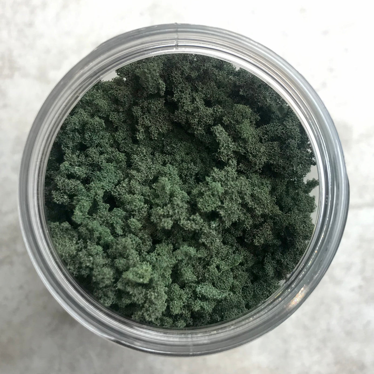 Follaje - VERDE CONIFERA