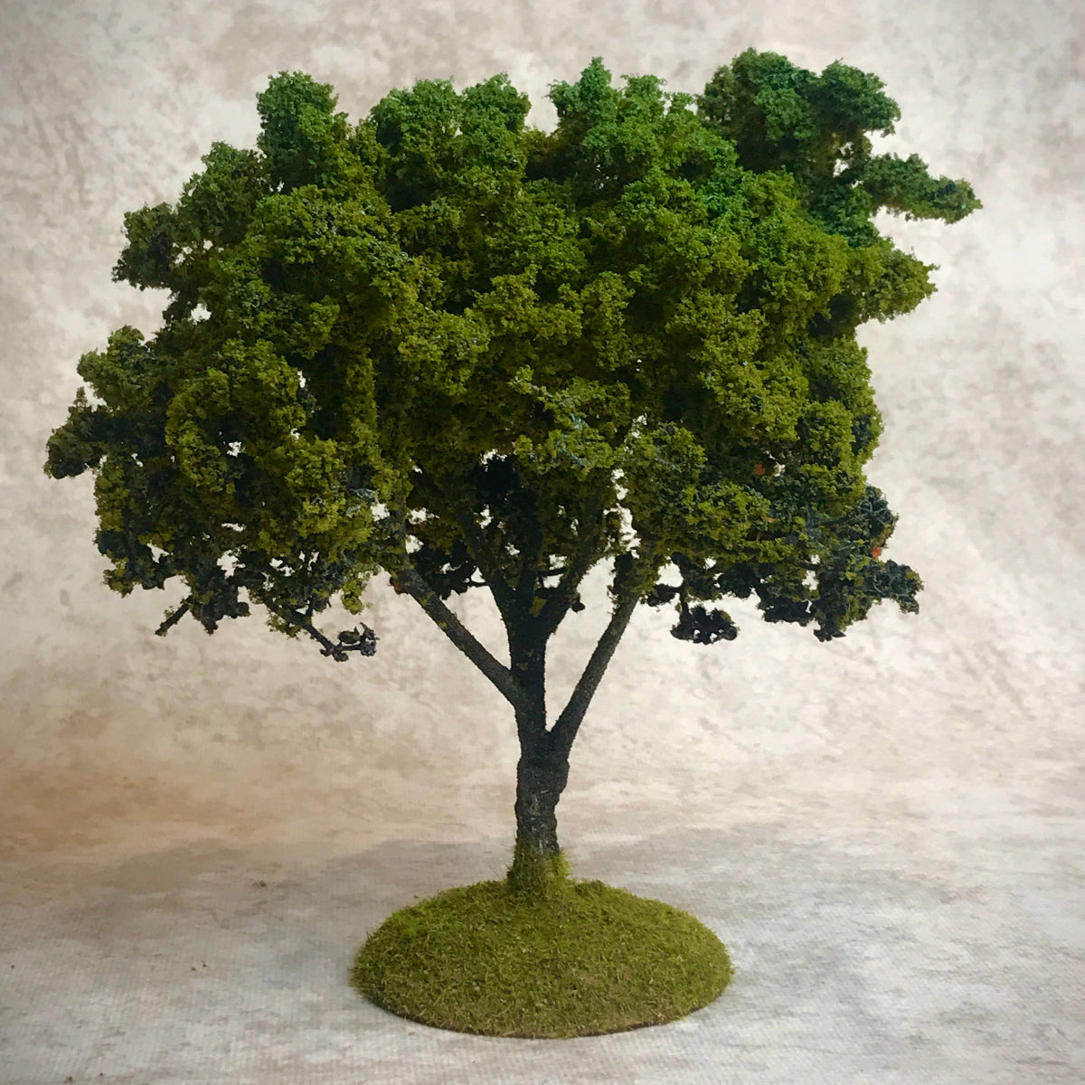 Follaje - VERDE INVIERNO