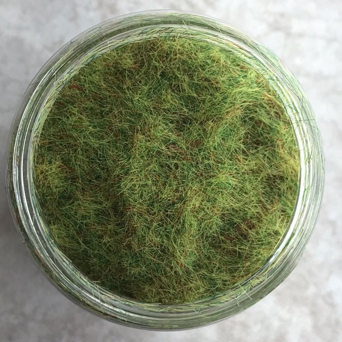 Hierba Electrostatica Verde Musgo