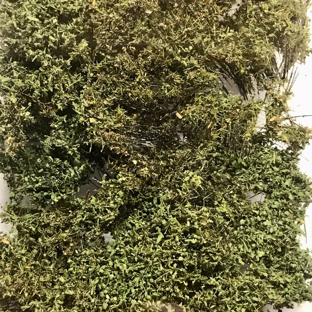 Alfombra Vegetal Ciénaga