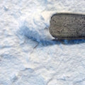 Nieve Fresca