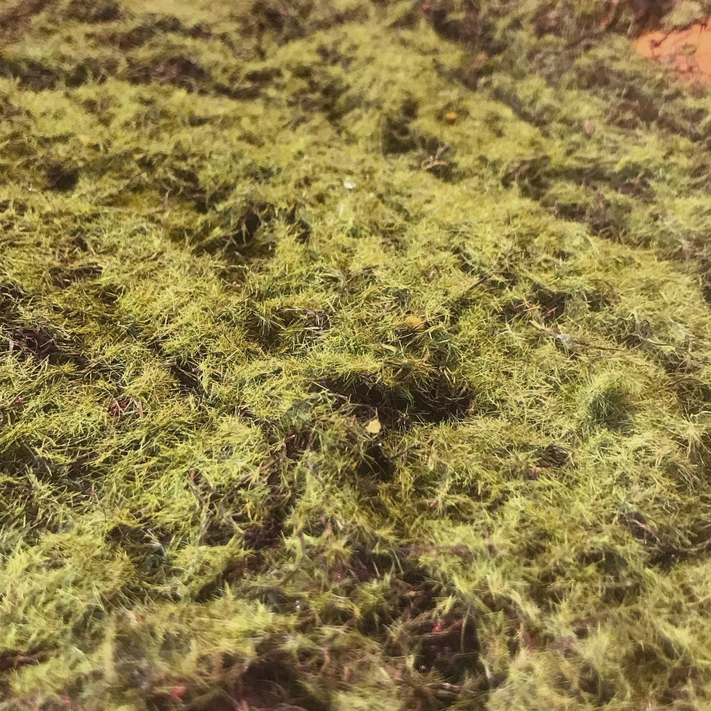 Alfombra Vegetal Pradera