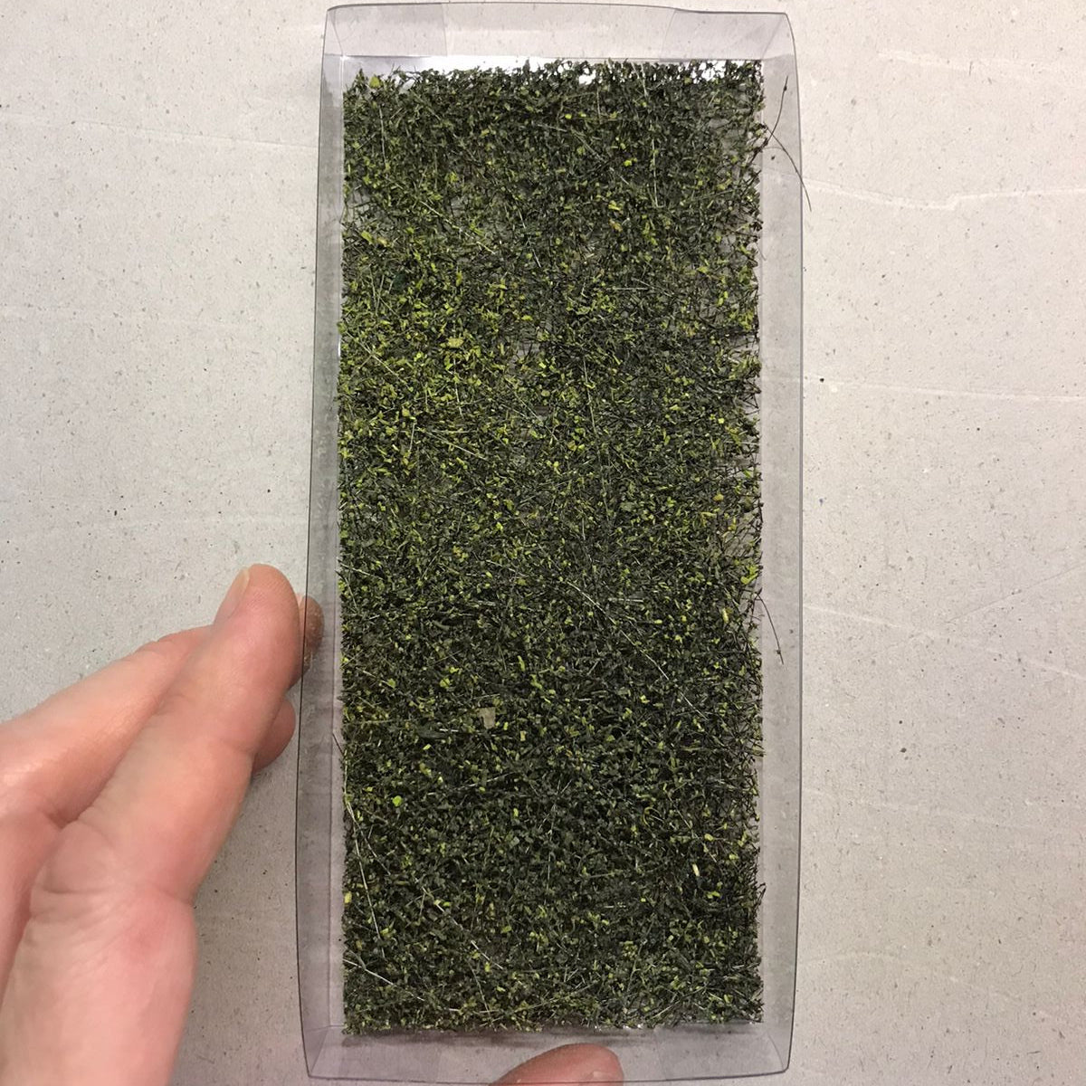 Alfombra Vegetal Bosque Húmedo