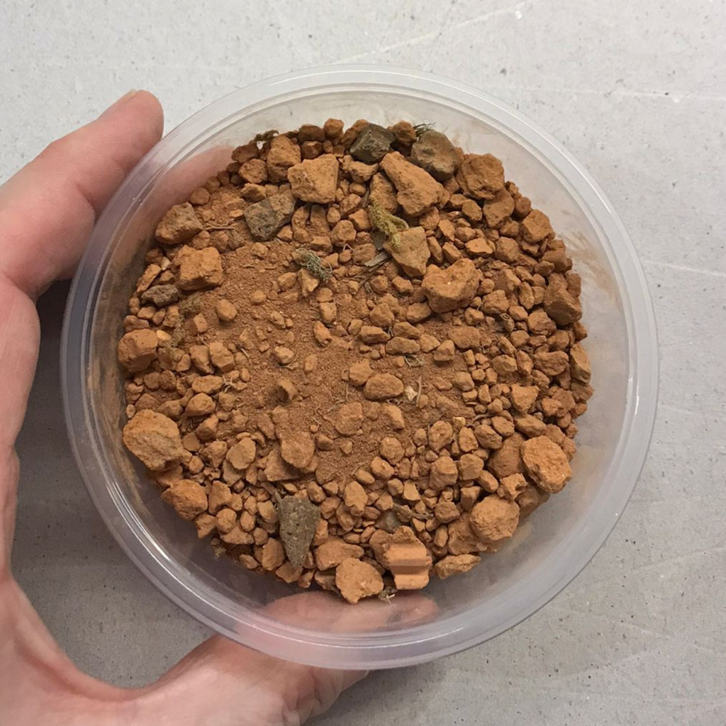 Sustrato Desierto Africano