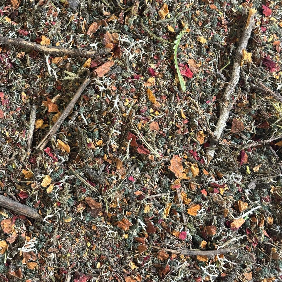 Sustratos - SOTOBOSQUE