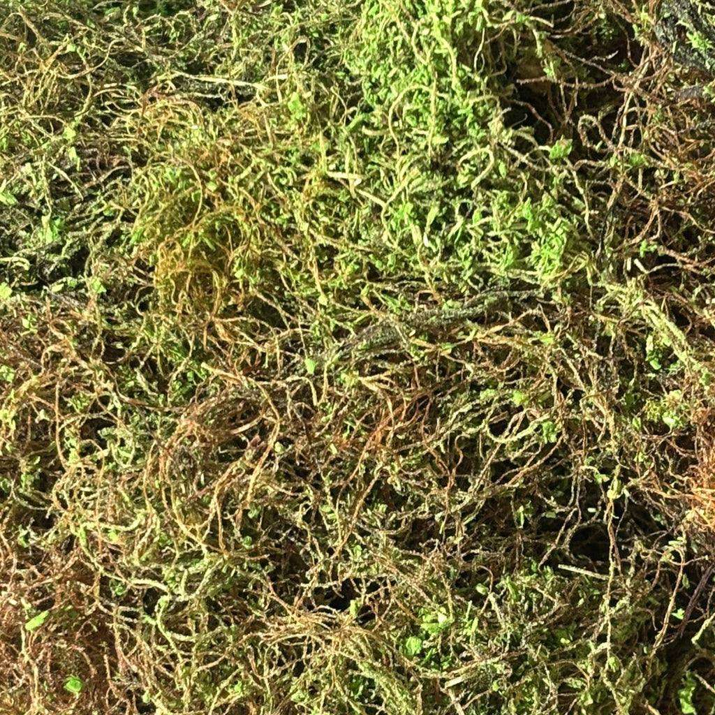 Alfombra Vegetal - MALEZA