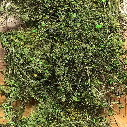 Alfombra Vegetal Ciénaga