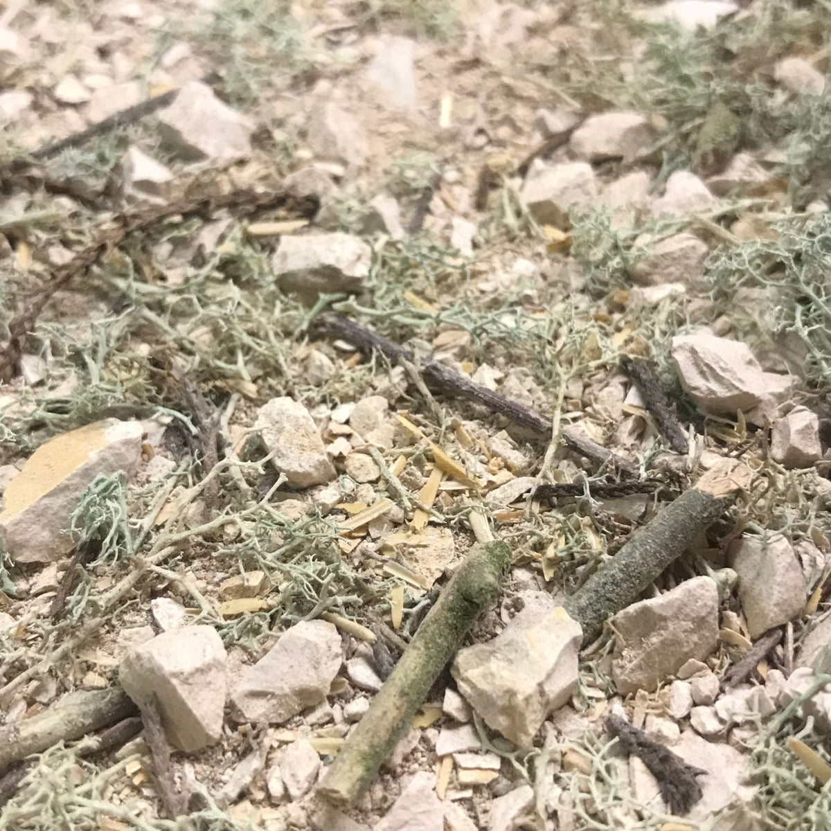 Sustrato Bosque Mediterráneo