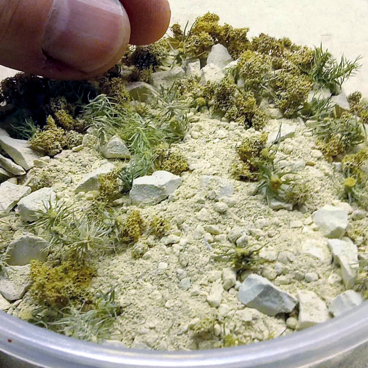 Sustrato Desierto de Oriente