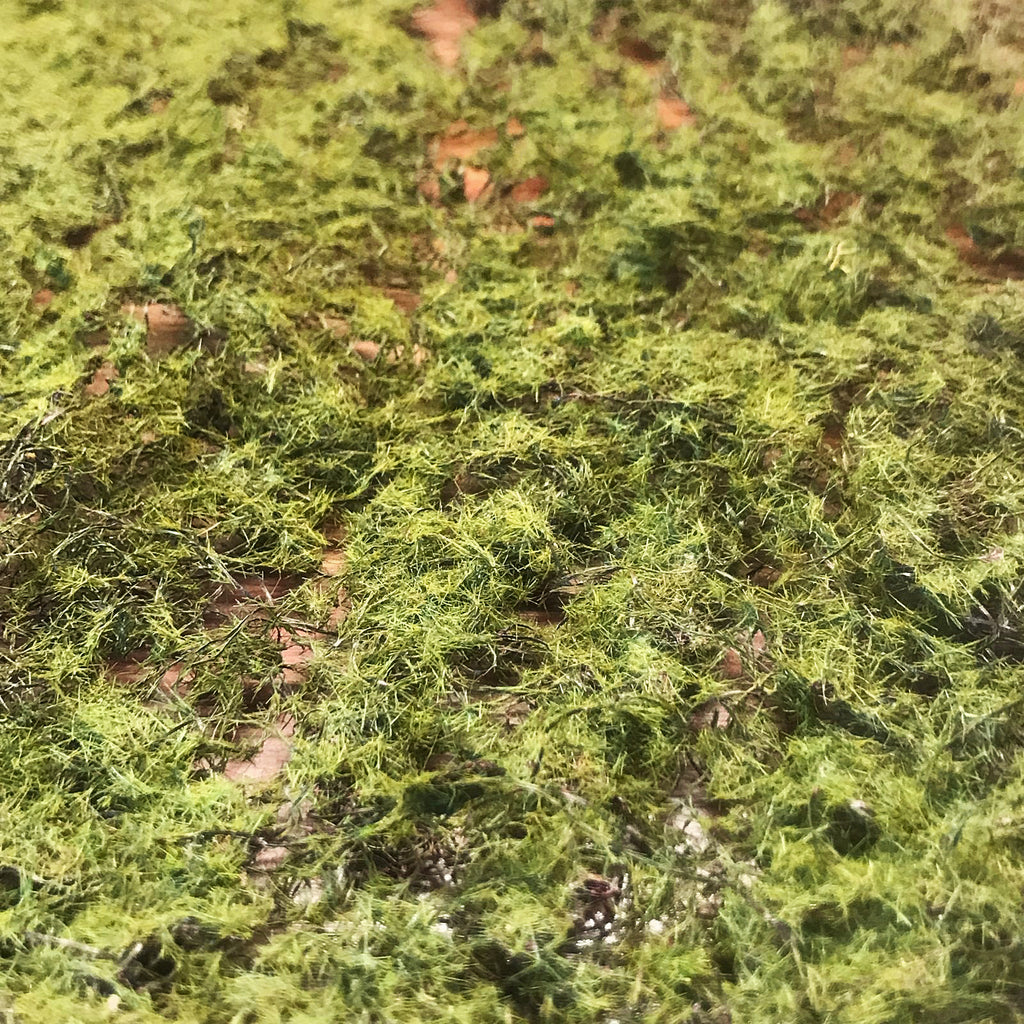 Alfombra Vegetal Pradera