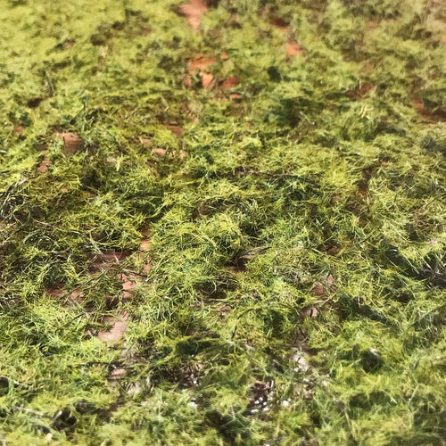 Alfombra Vegetal Pradera