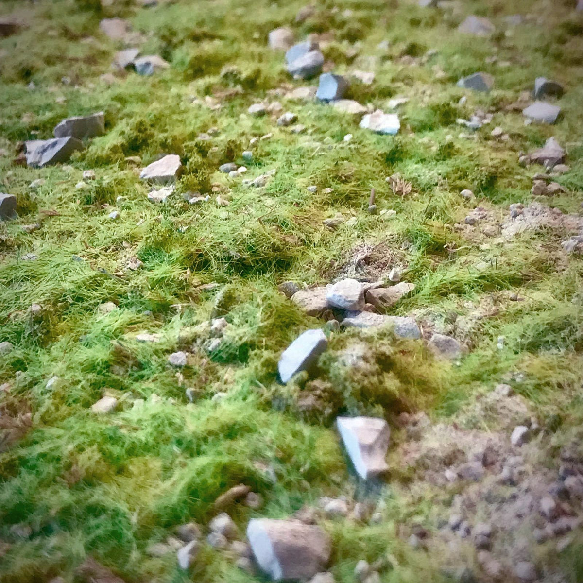 Sustrato Campiña Irlandesa