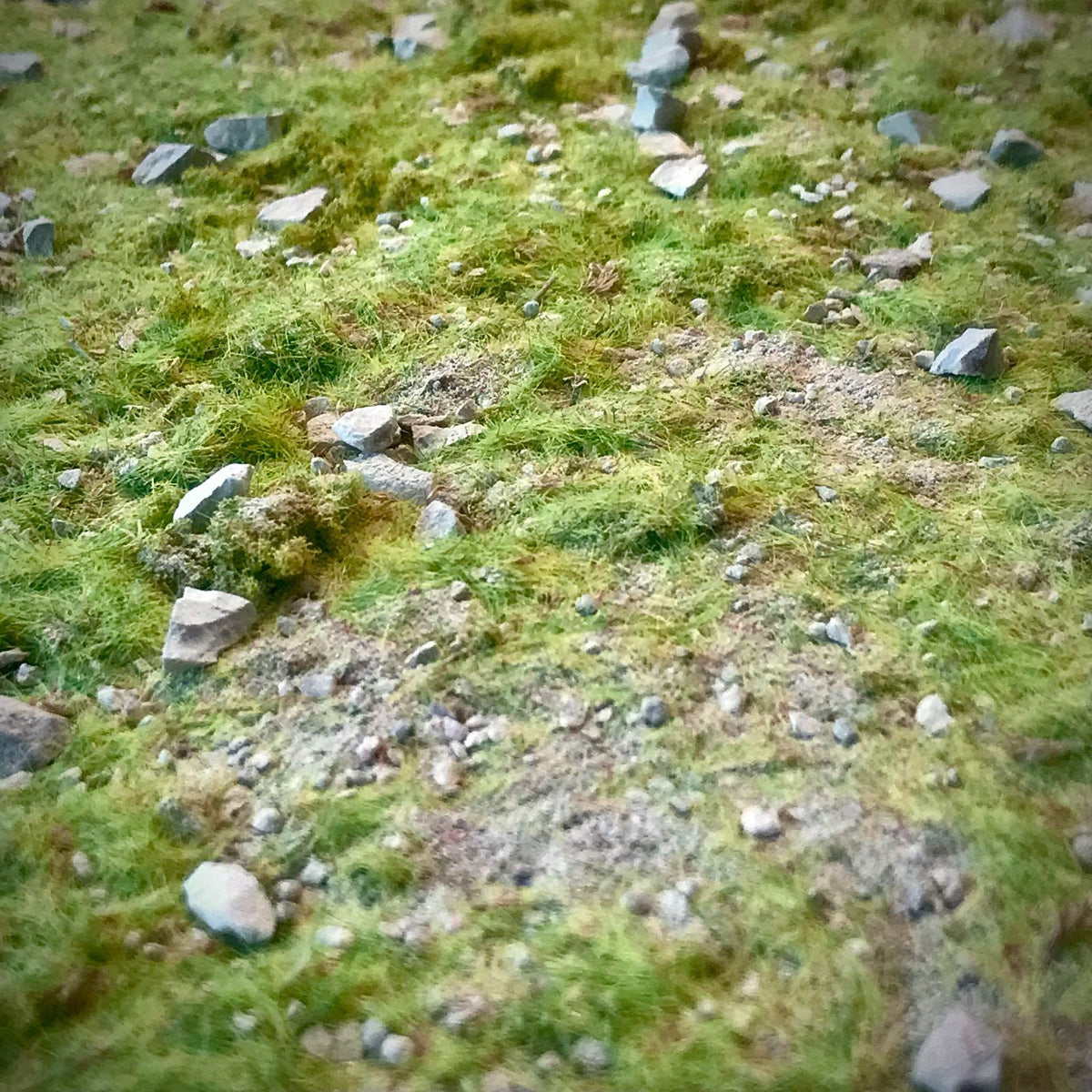 Sustrato Campiña Irlandesa