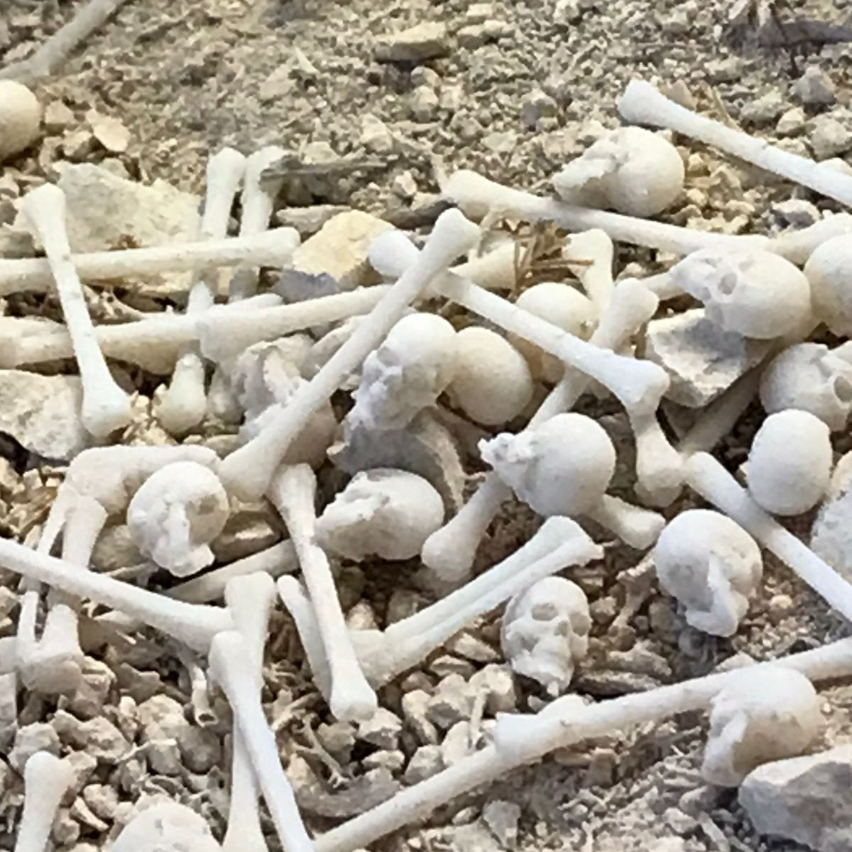 Sustrato Tierra de Cementerio (escala 28mm)