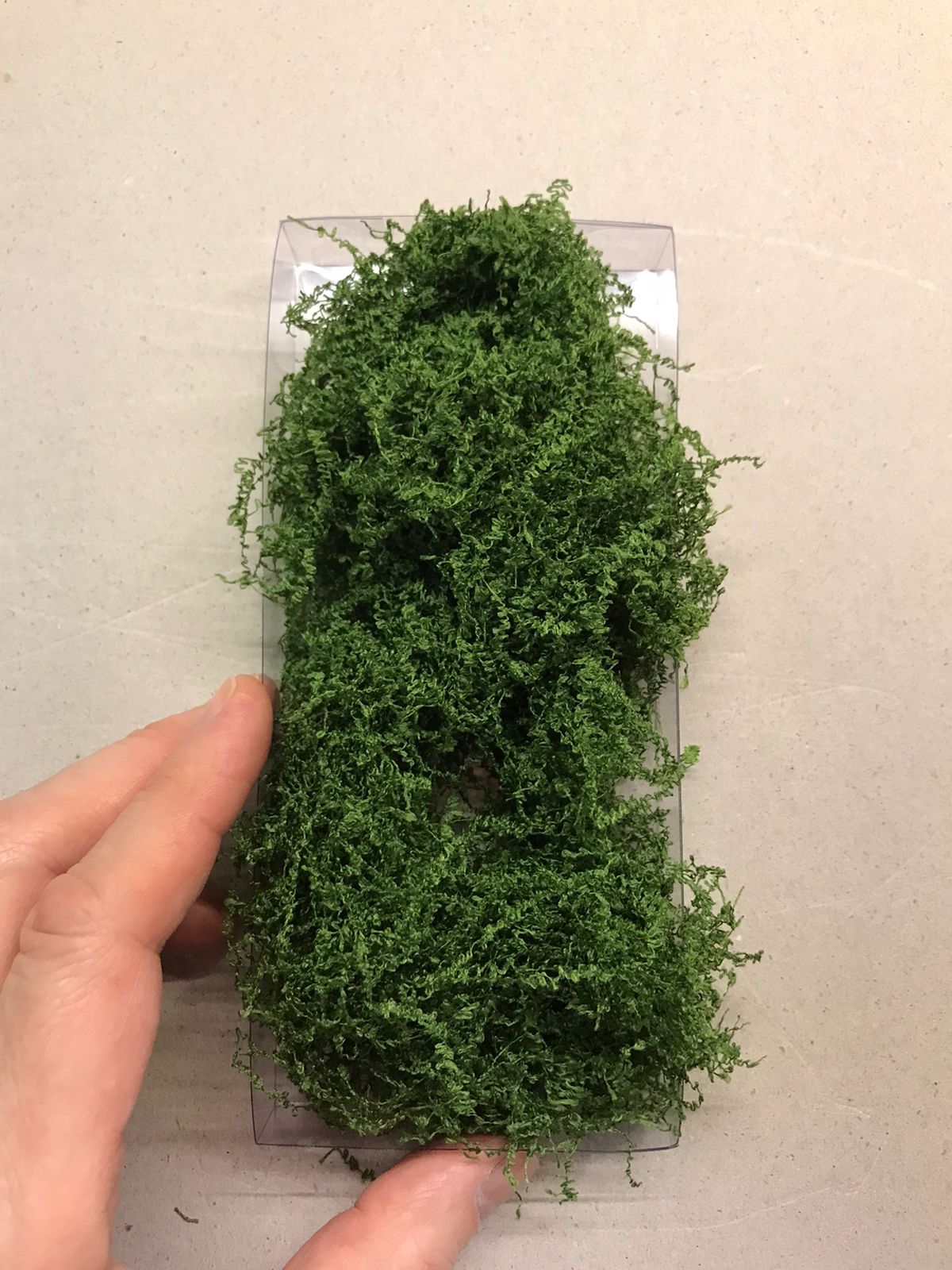 Alfombra Vegetal Plantas Colgantes