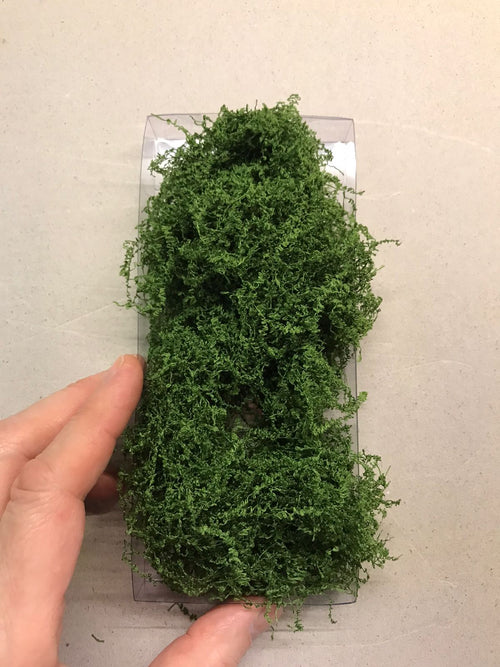 Alfombra Vegetal Plantas Colgantes