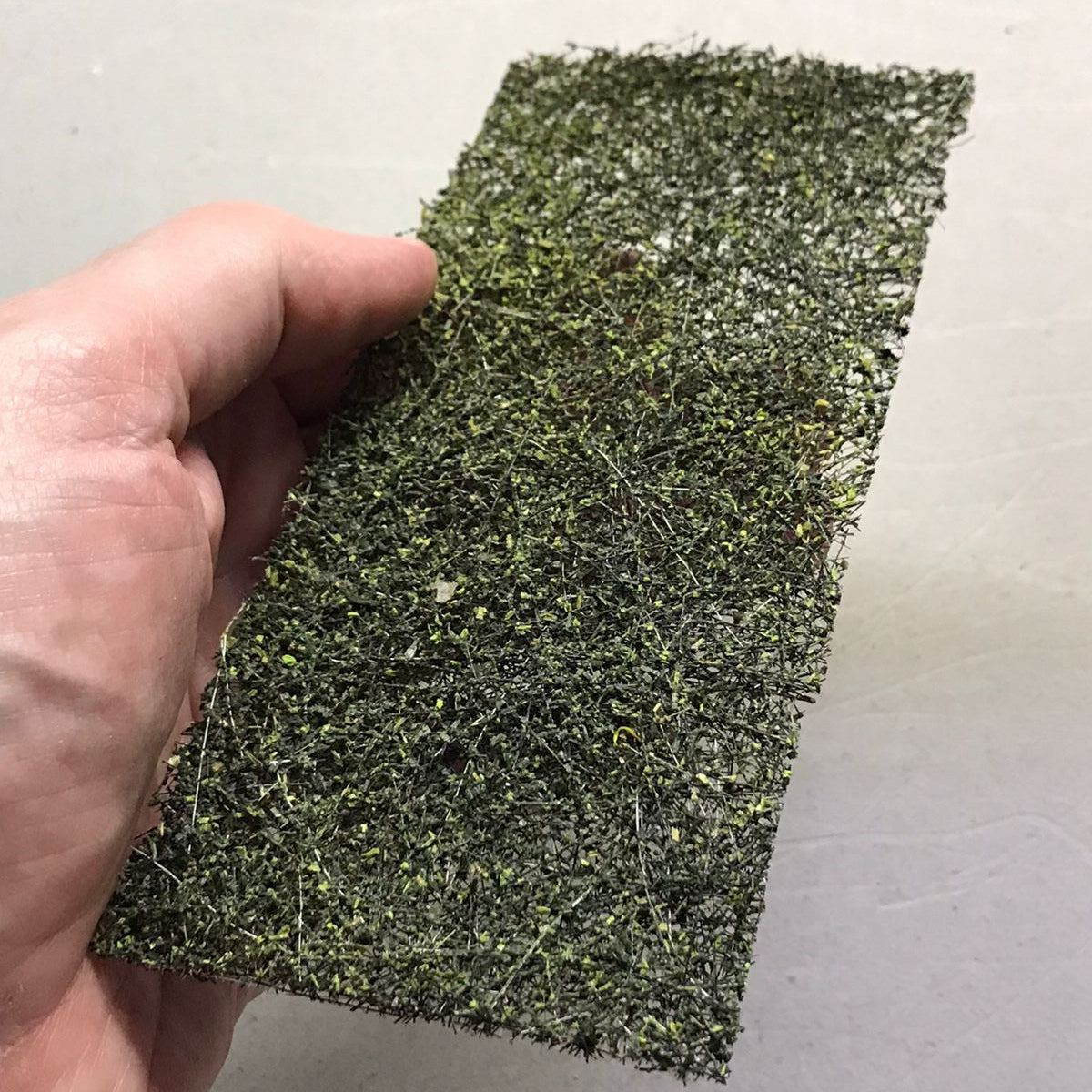 Alfombra Vegetal Bosque Húmedo