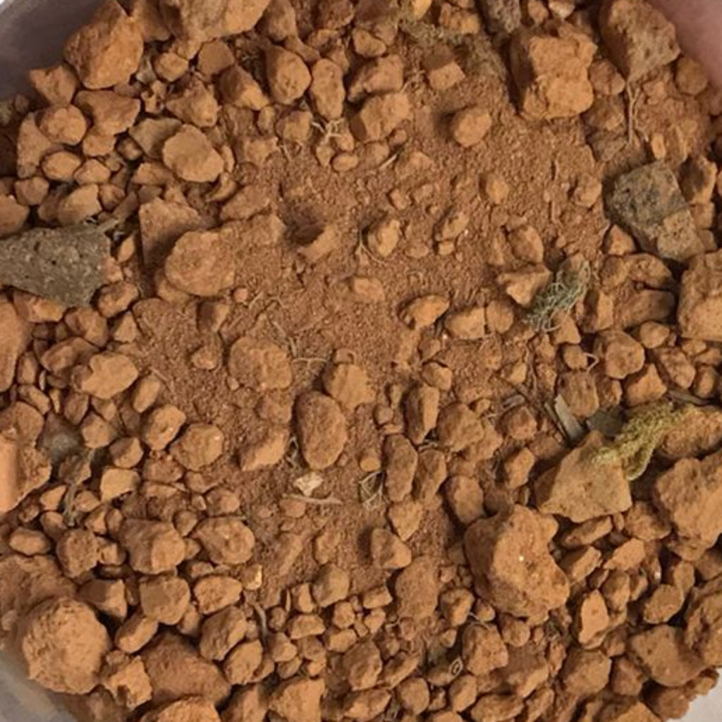 Sustrato Desierto Africano