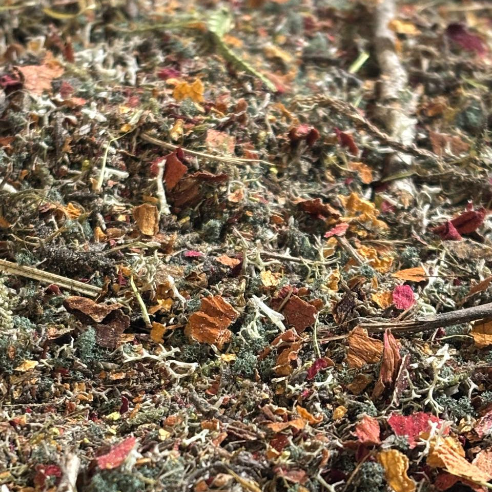 Sustratos - SOTOBOSQUE