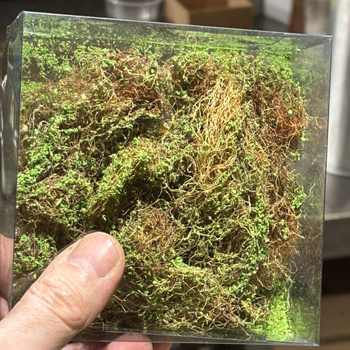 Alfombra Vegetal - MALEZA