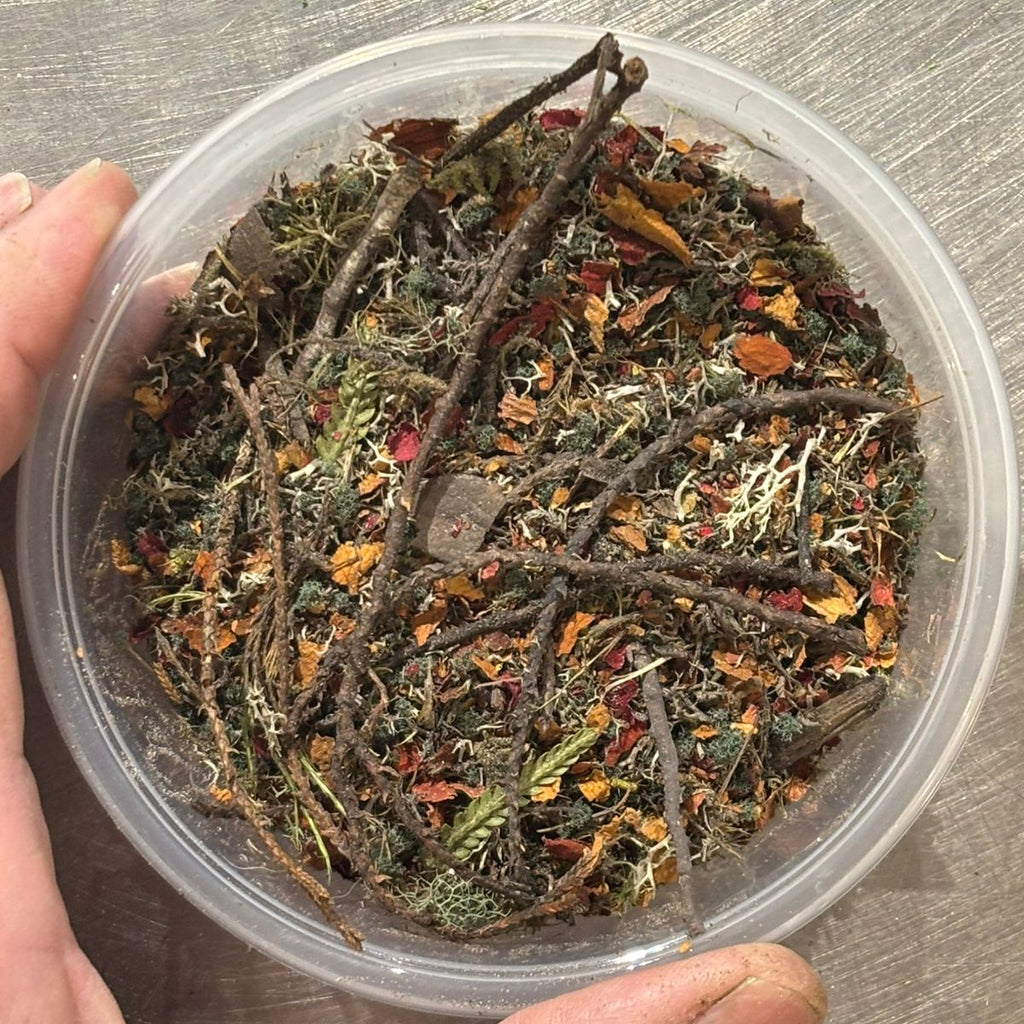 Sustratos - SOTOBOSQUE