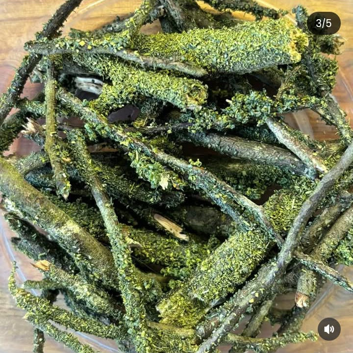 RAMAS RECUBIERTAS DE MUSGO