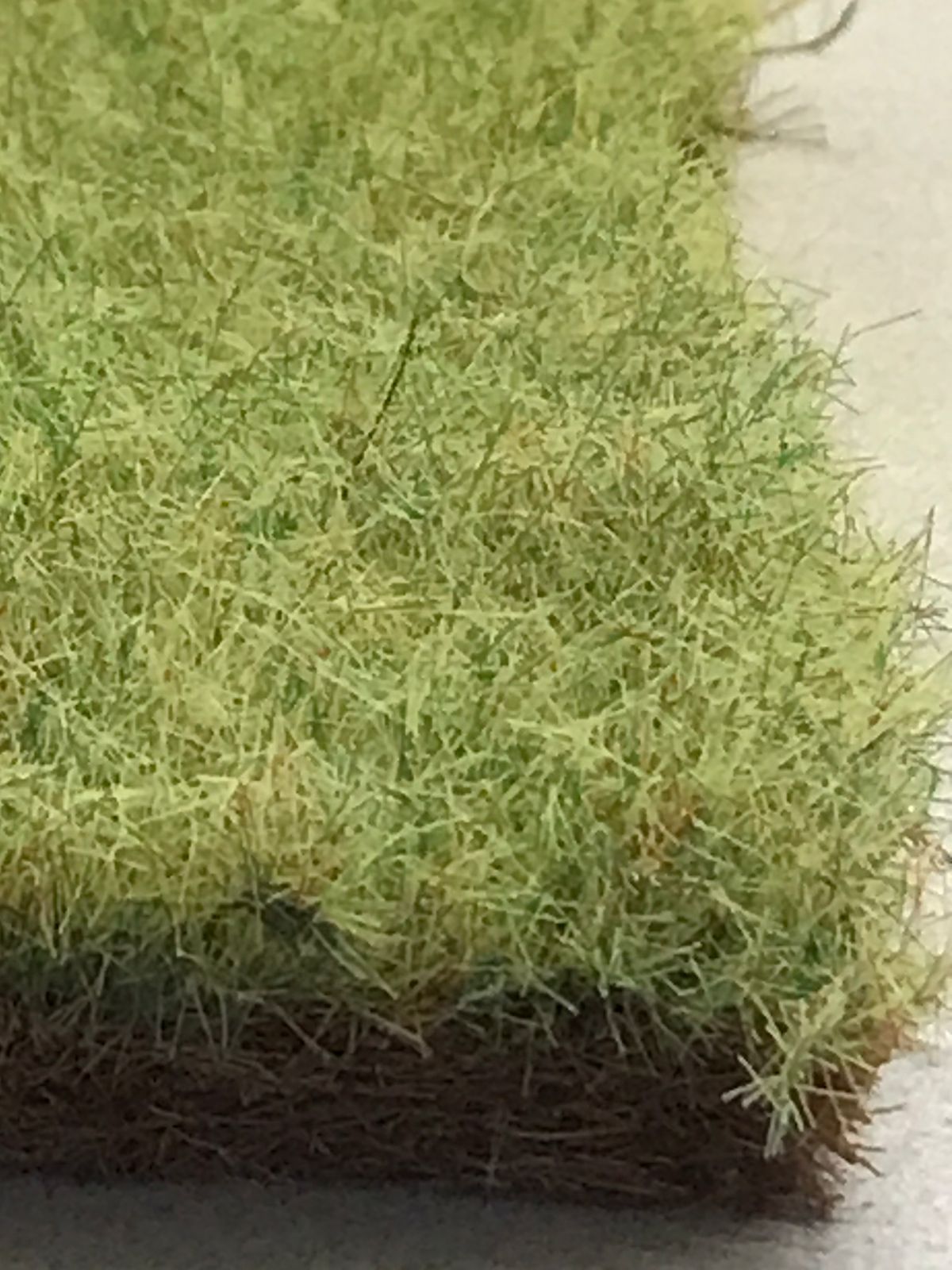 Alfombra Vegetal LLANURA